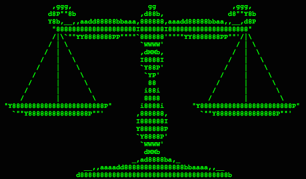 Scales binary code